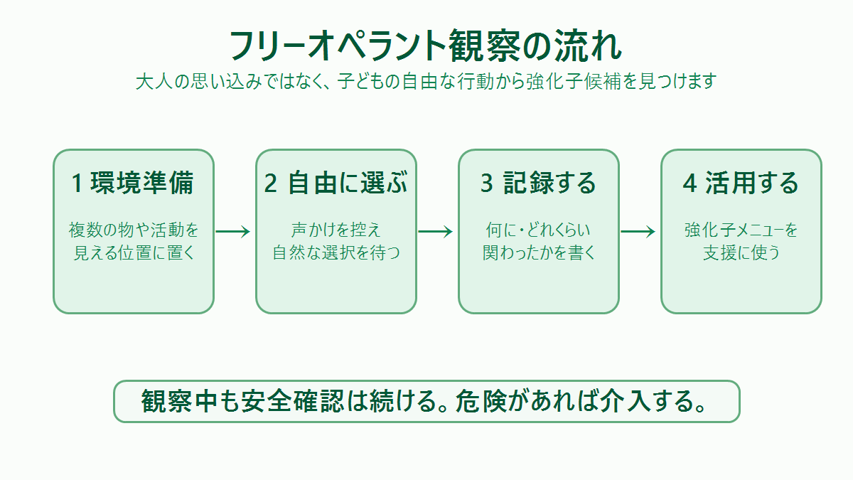 フリーオペラント観察の流れ